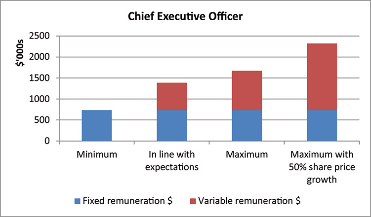 [MISSING IMAGE: bc_chiefexecutiveofficer-4c.jpg]