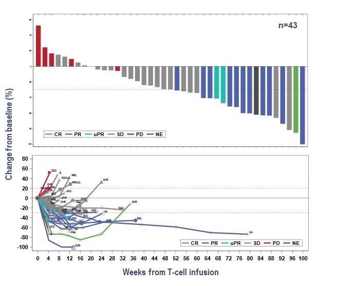 Chart

Description automatically generated